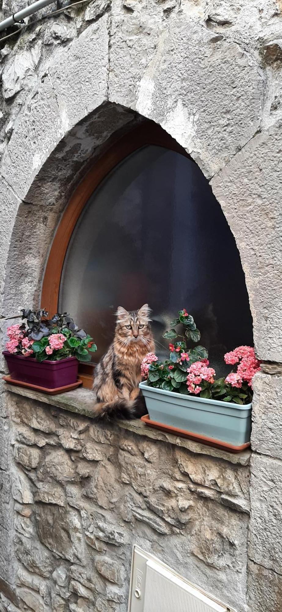 Gite Des Remparts Lucéram Εξωτερικό φωτογραφία